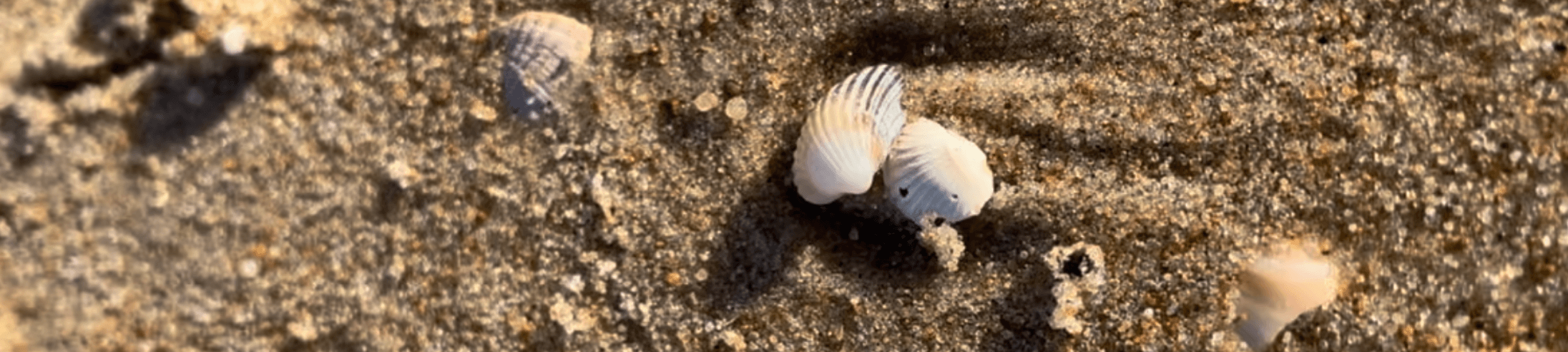 Bezludna Plaża Stilo