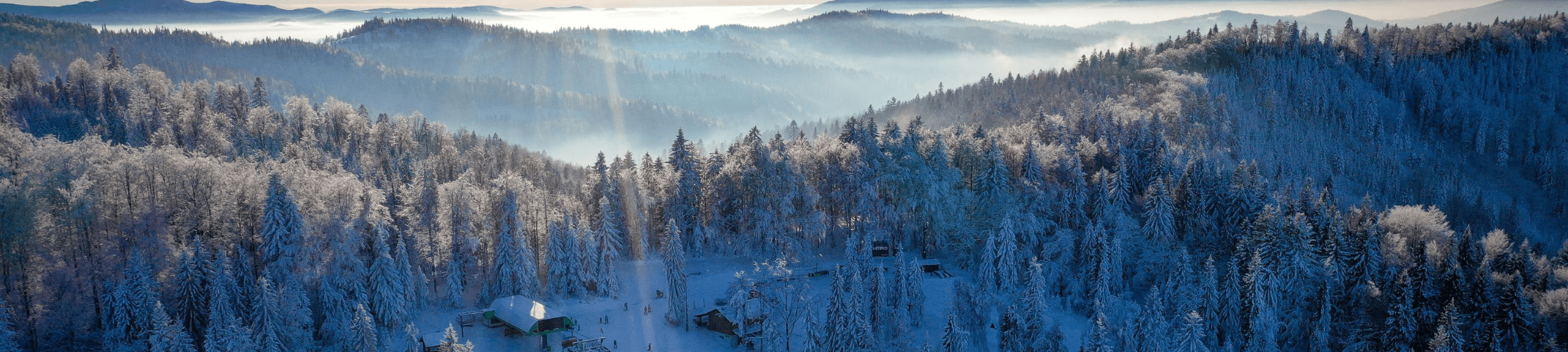 Czarny Groń - rodzinny resort w sercu Beskidów