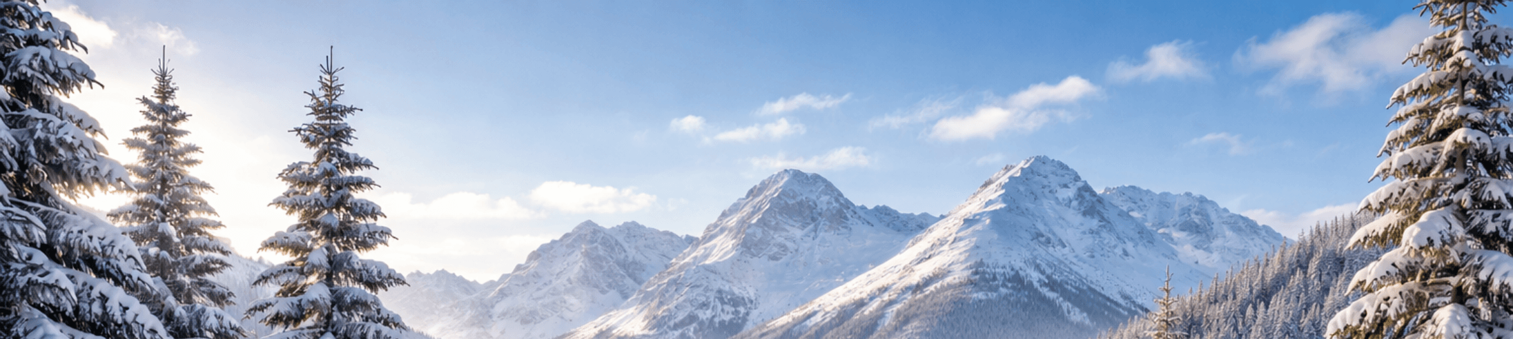 Zimowy Patrol Radia Yanosik